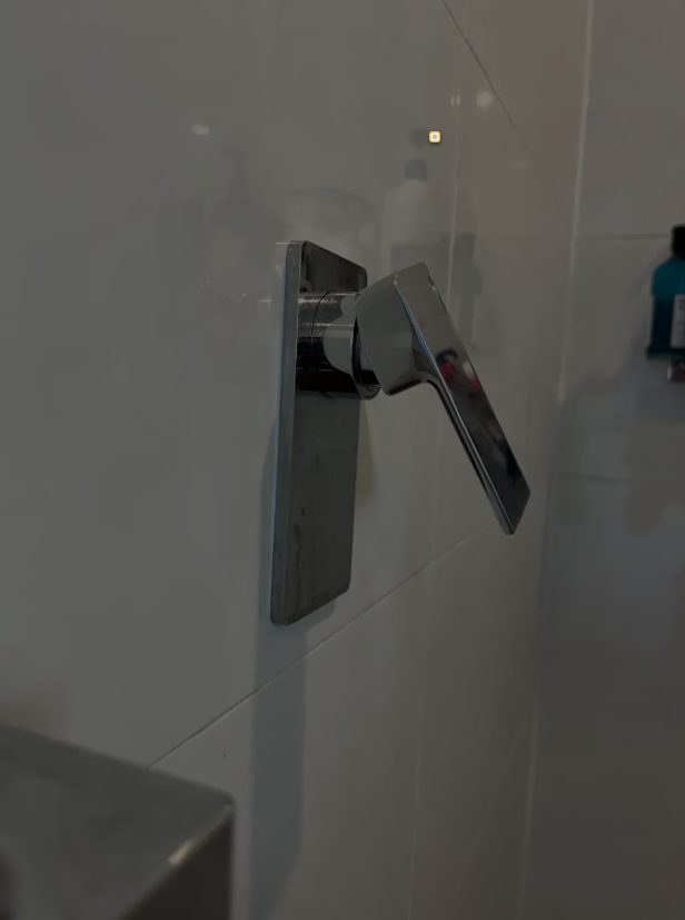 Expert Leaking Shower Mixer Repair in a Wolli Creek Apartment
