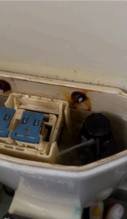 Leaking Toilet Repair in St Helens Park NSW