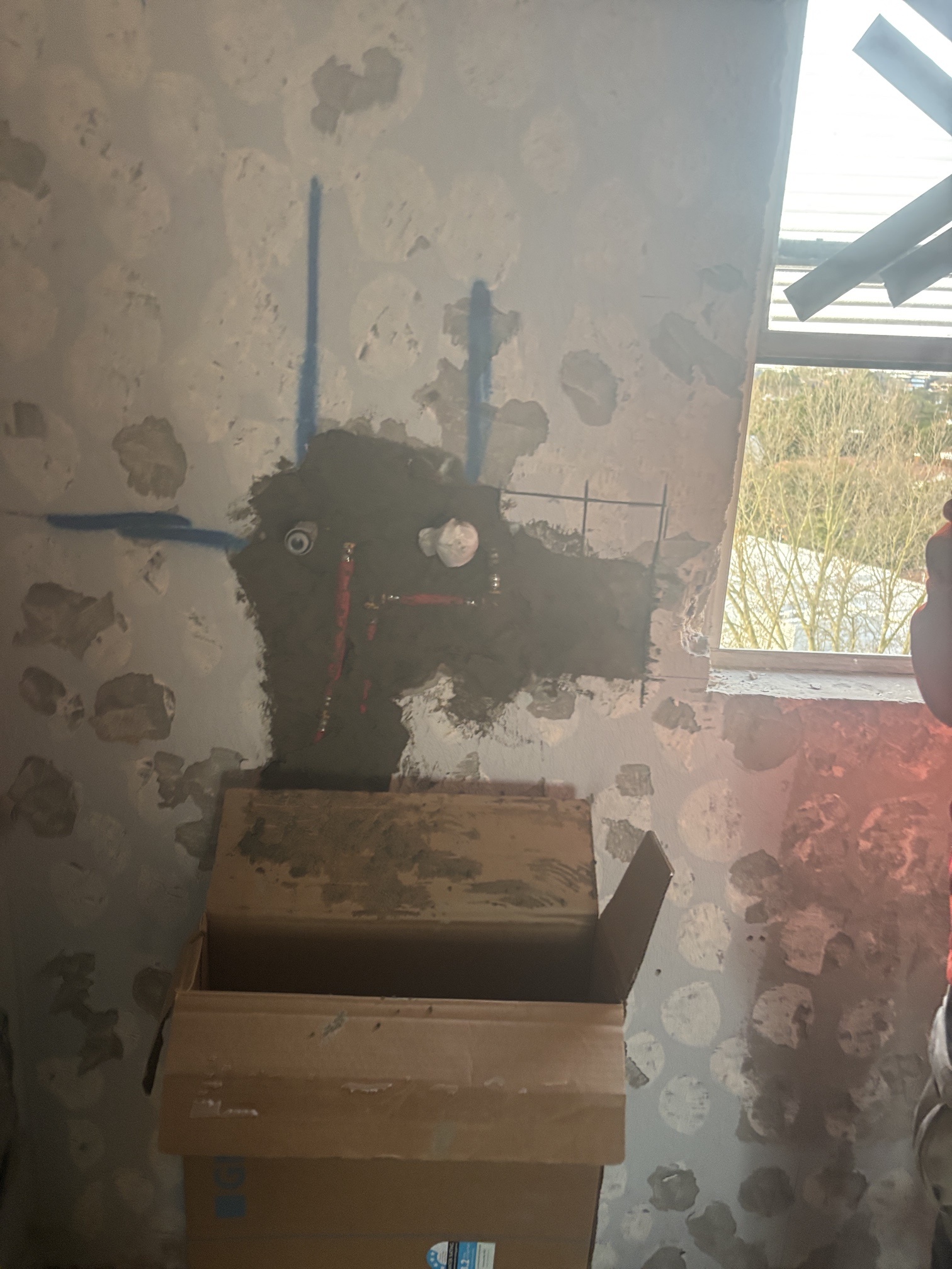 Bathroom water connections and waste outlet roughed into a stripped wall beside a window