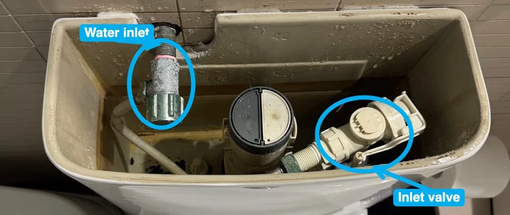 Open rear-entry toilet cistern with the inlet valve entering high at the back