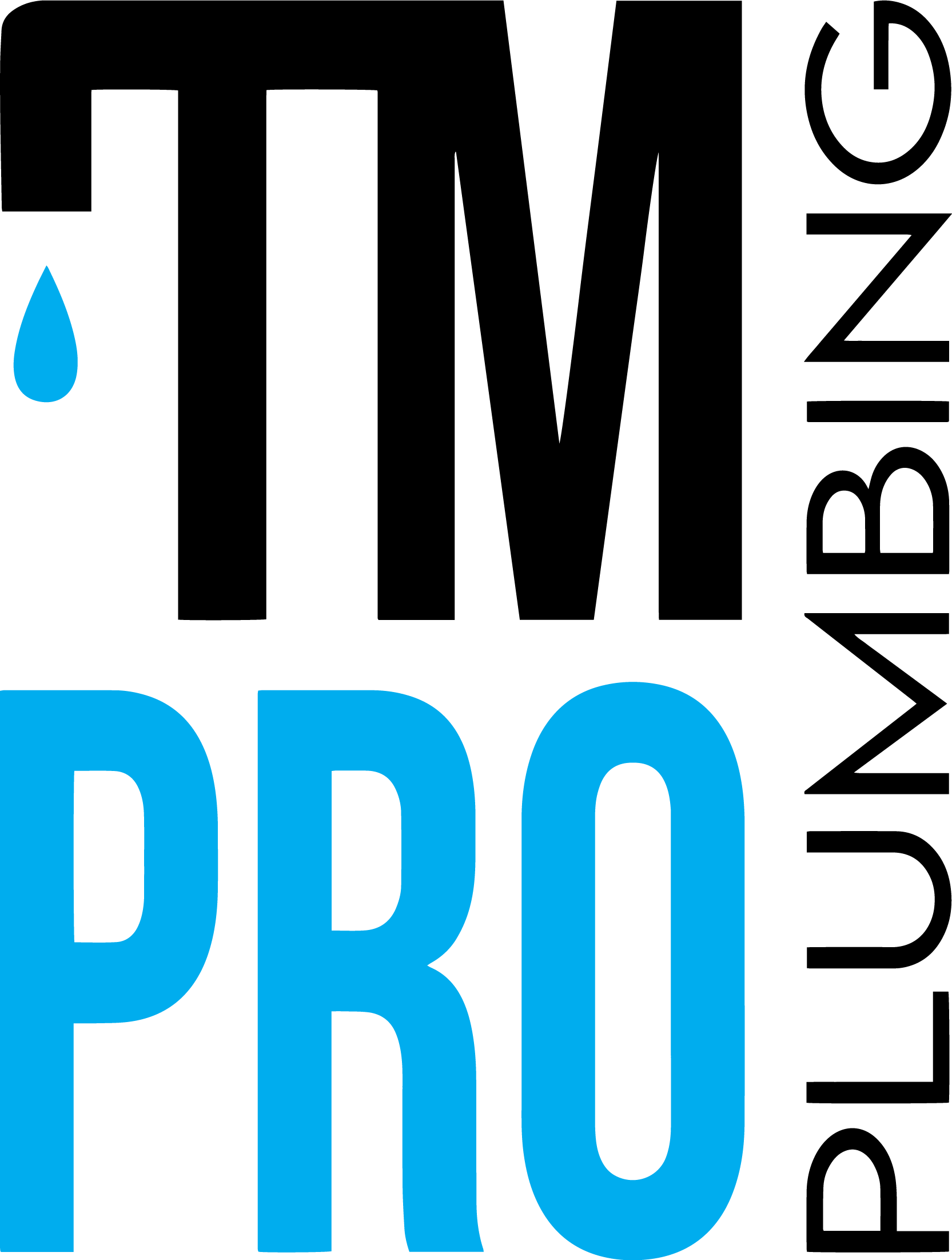 Tm pro plumbing logo