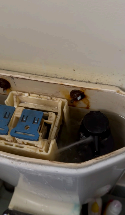 Caroma toilet repair and service completed by plumber in St Helens Park NSW