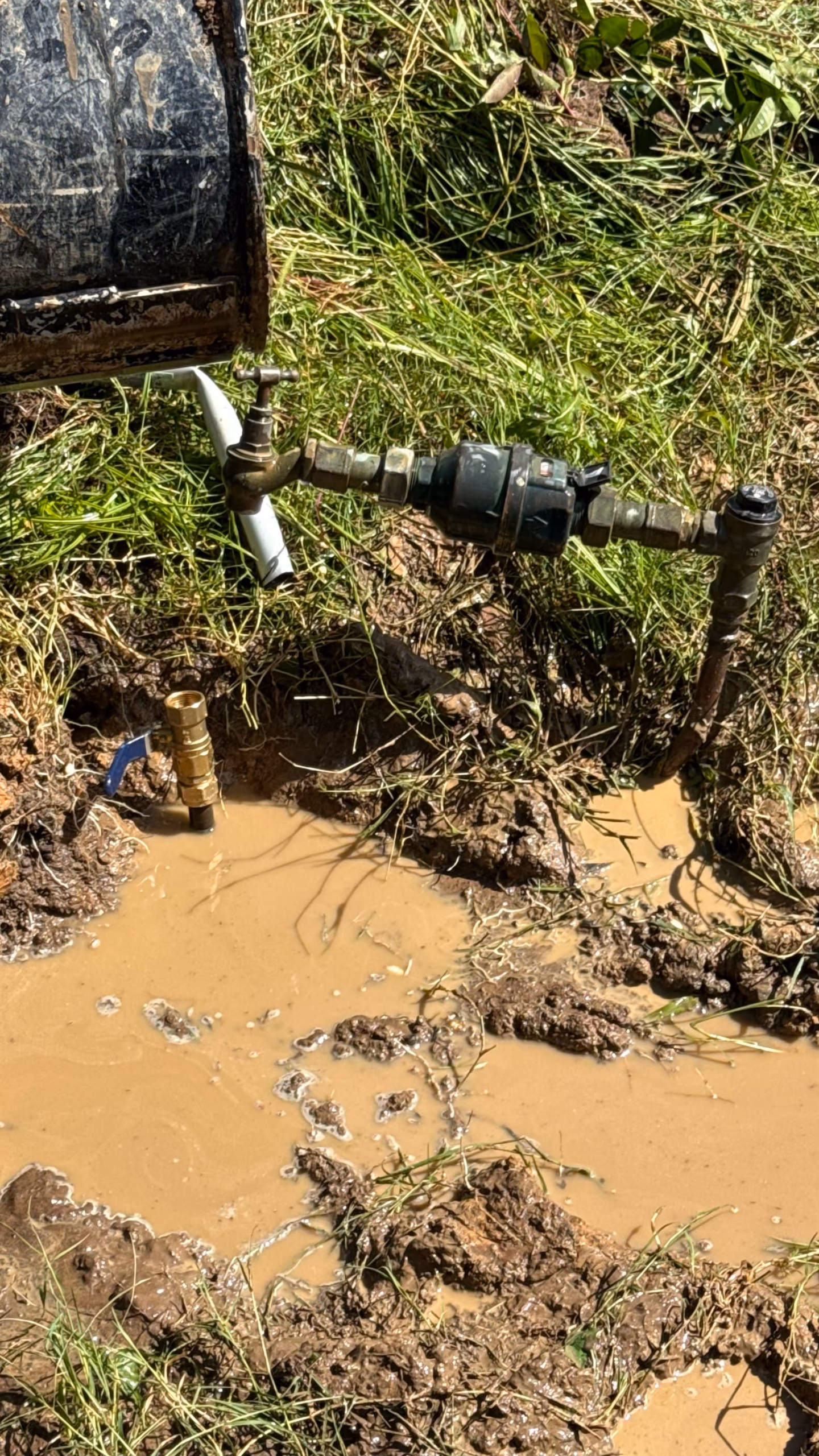 TM Pro Plumbing repairing a snapped water meter in a St. Helens Park front yard after landscaping damage.