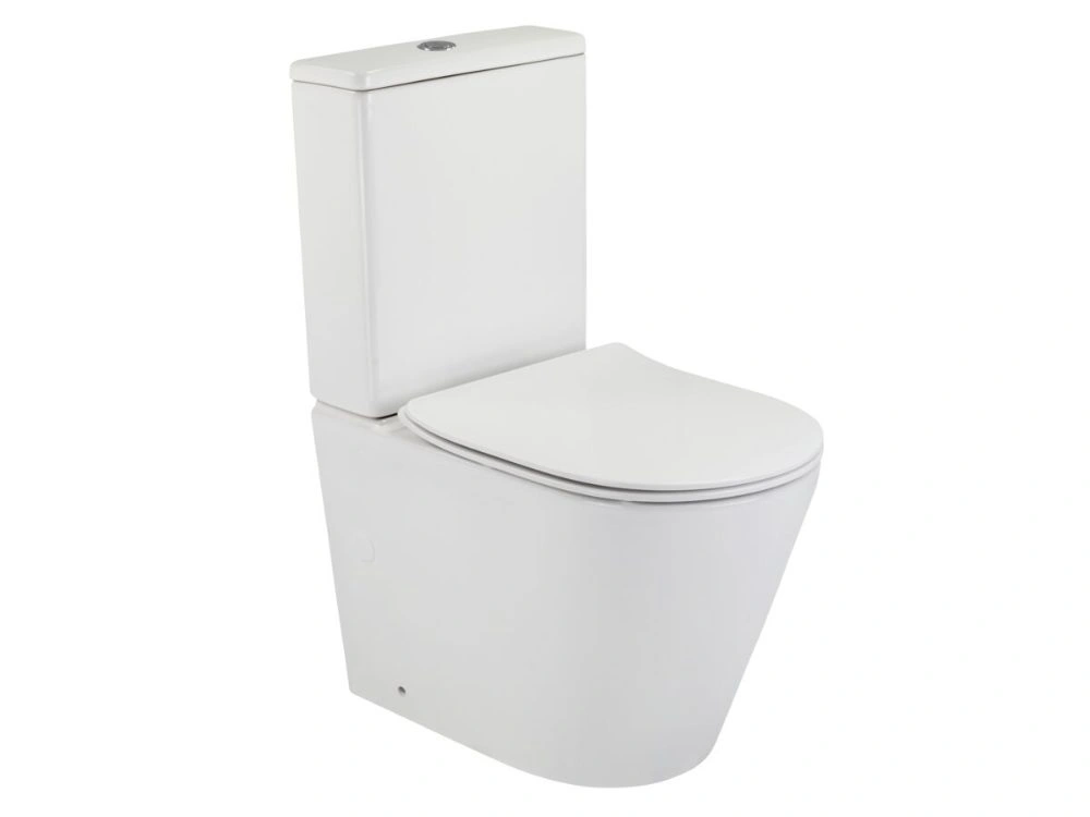 Back to Wall Toilet