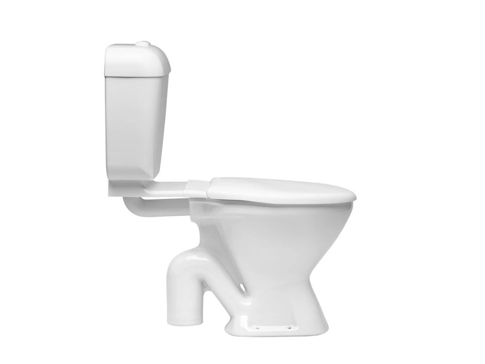 Linked Toilet
